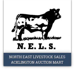 Acklington Auction Mart